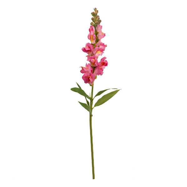 Антирринум, 60см, розовый