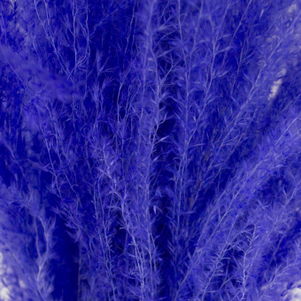 4627197667944.2