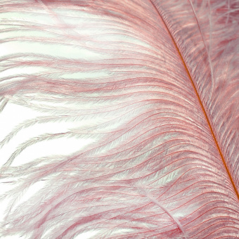 2009980176000.2