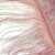 2009980176000.2