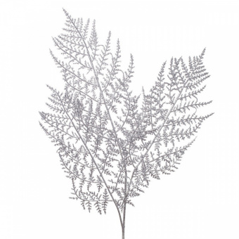 2066141553582.1