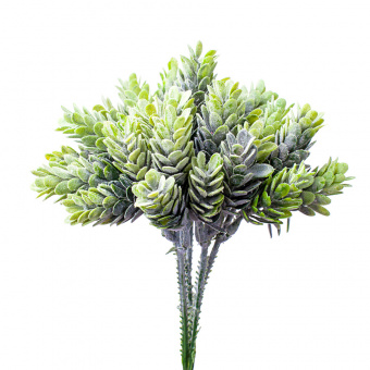 2009141434840